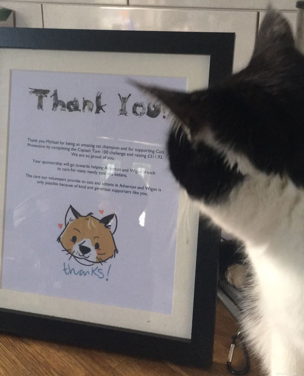 11-årige Michael Hart från Wigan underhöll både katter och Facebook-följare för att samla in £300 till en välgörenhetsorganisation som ligger honom varmt om hjärtat