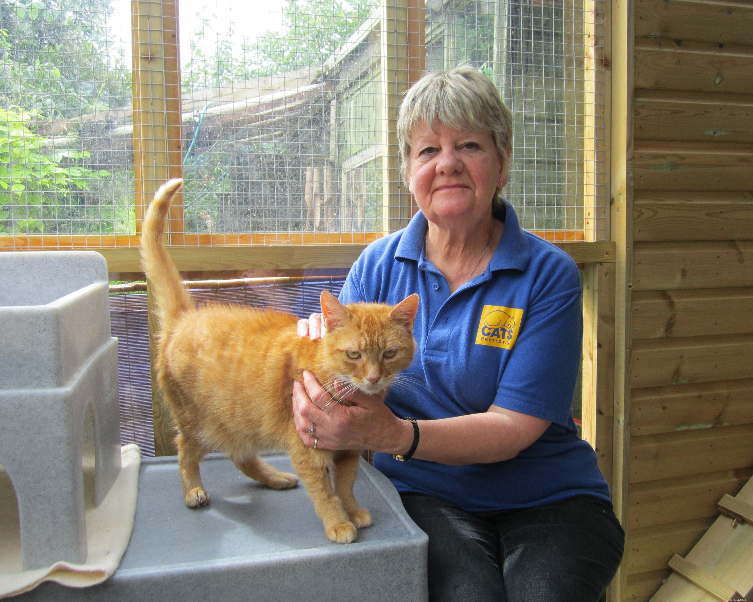 도로시 하이먼(Dorothy Hyman)과 체리 로버그(Cherry Lorberg)는 둘 다 도싯(Dorset)에서 도움이 필요한 고양이를 위해 기금을 마련하기 위해 시속 110마일의 속도로 날개짓을 합니다. 