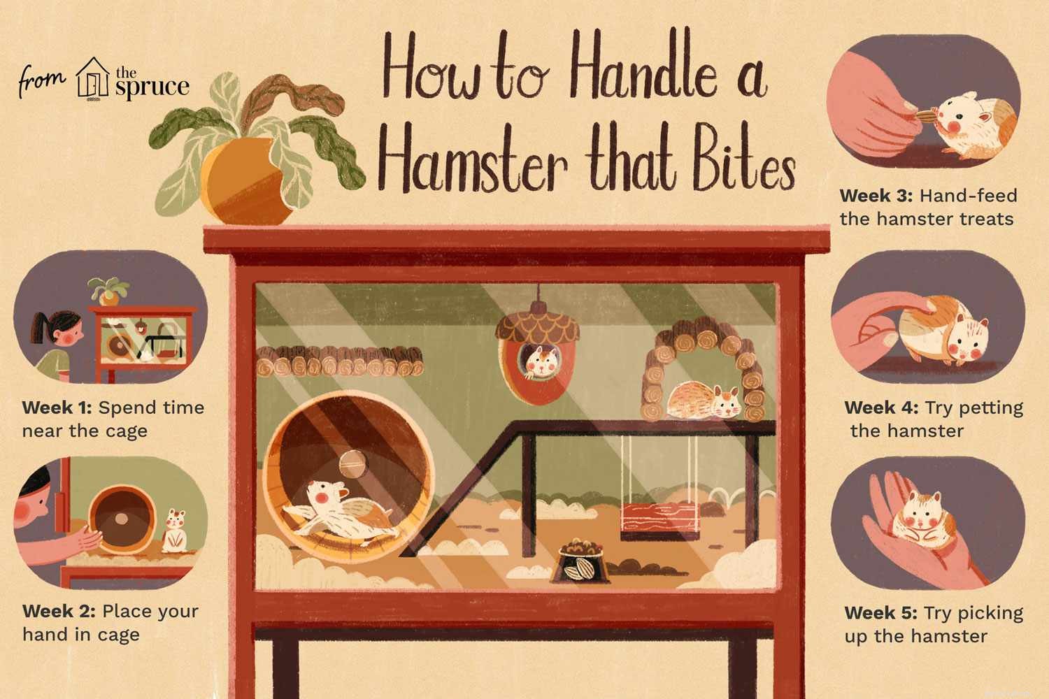 Comment empêcher votre hamster de mordre