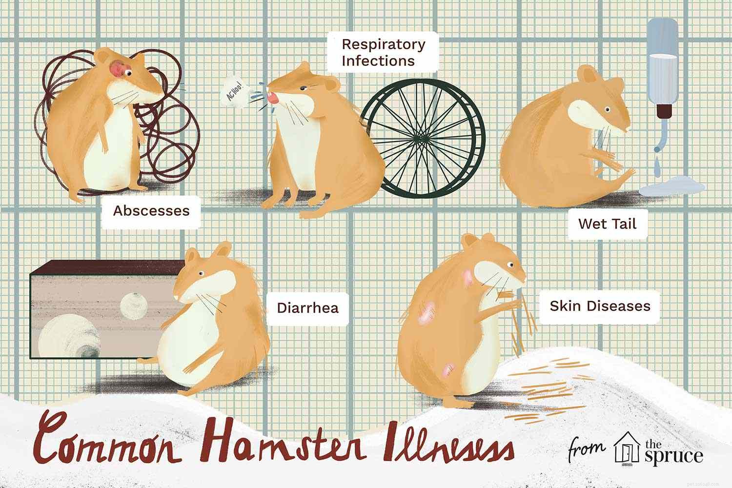 Hamstergezondheid en -ziekten