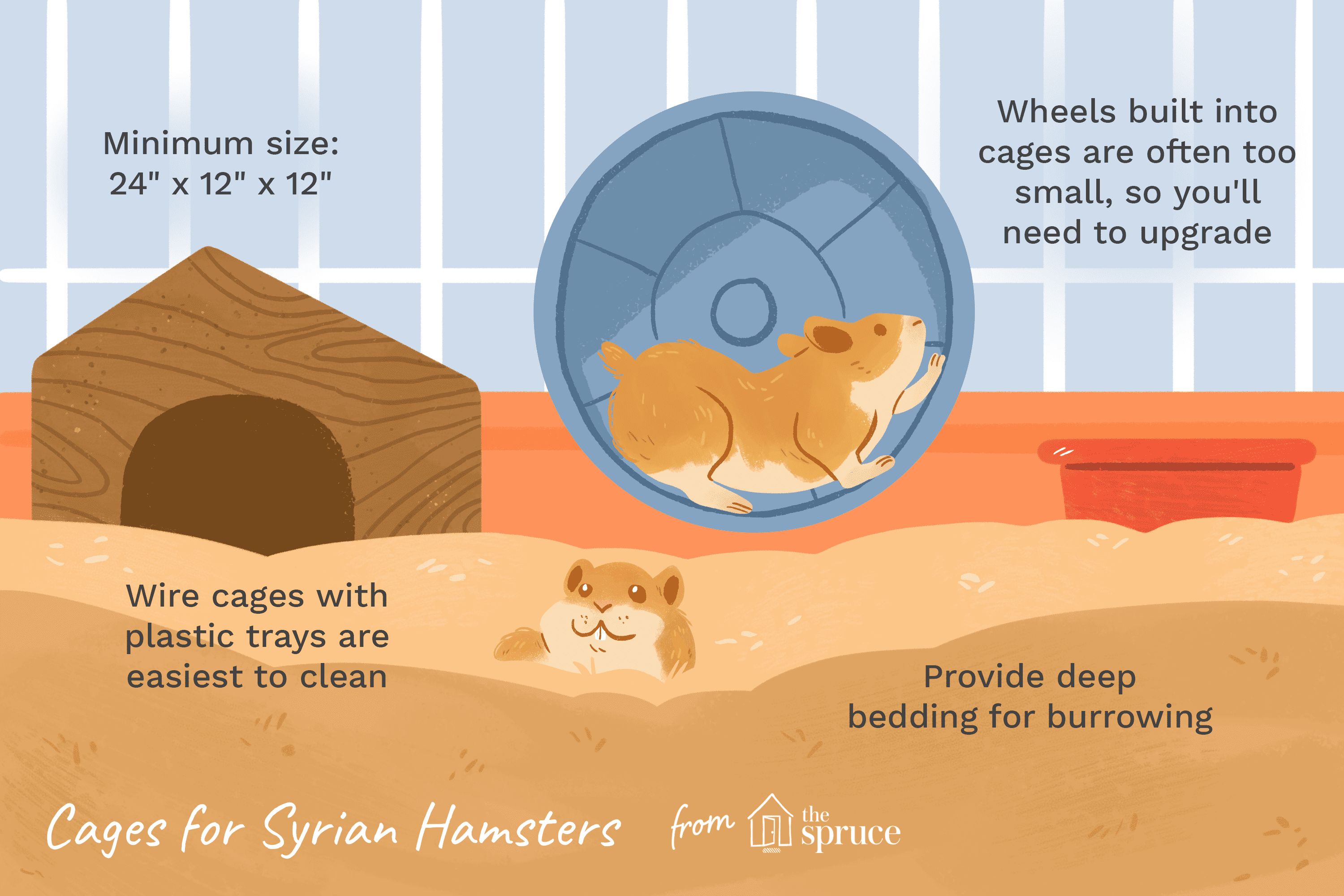 Escolhendo a melhor gaiola para seu hamster sírio