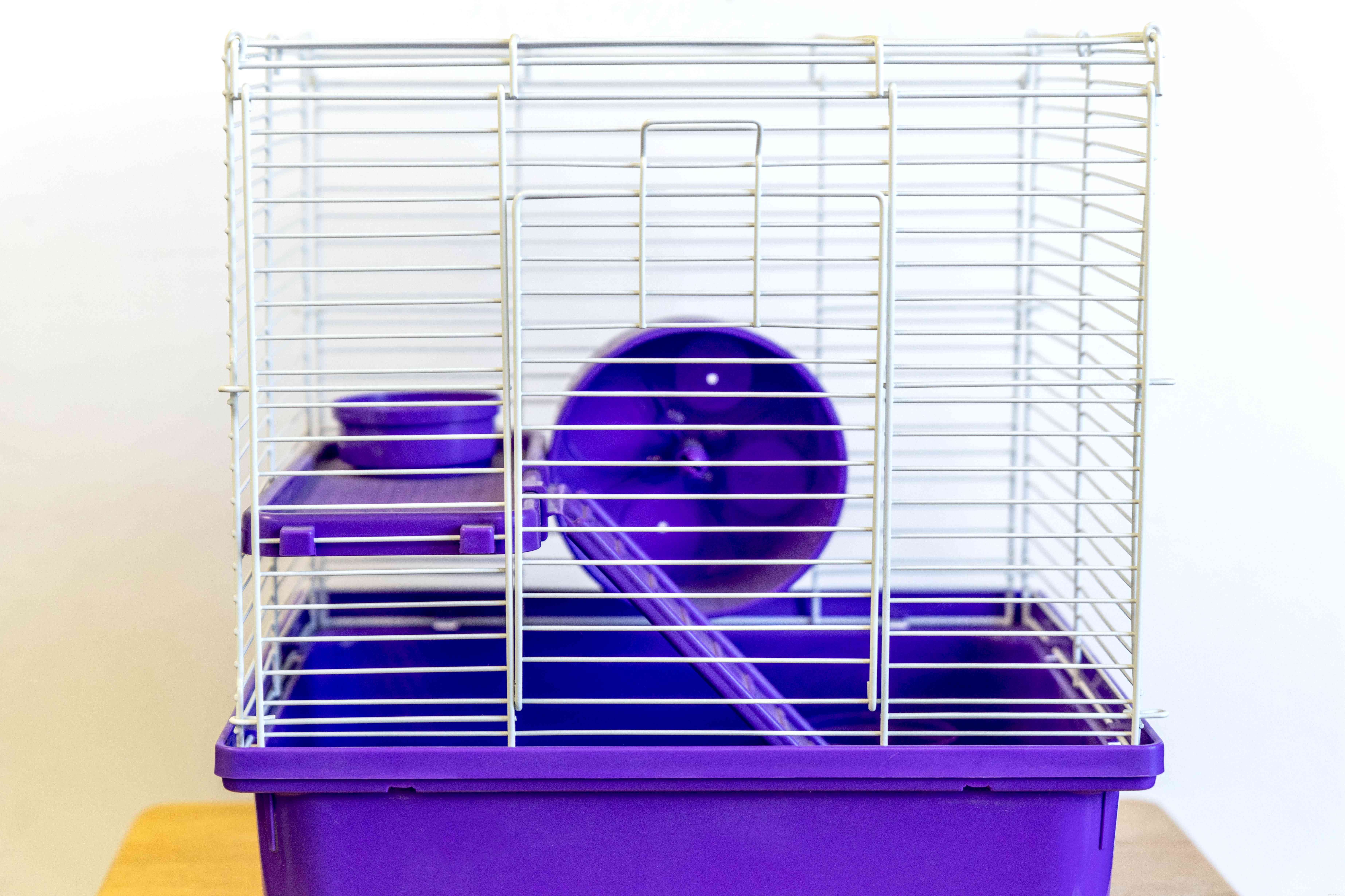 Håll hamstrar som husdjur:skötselinformation