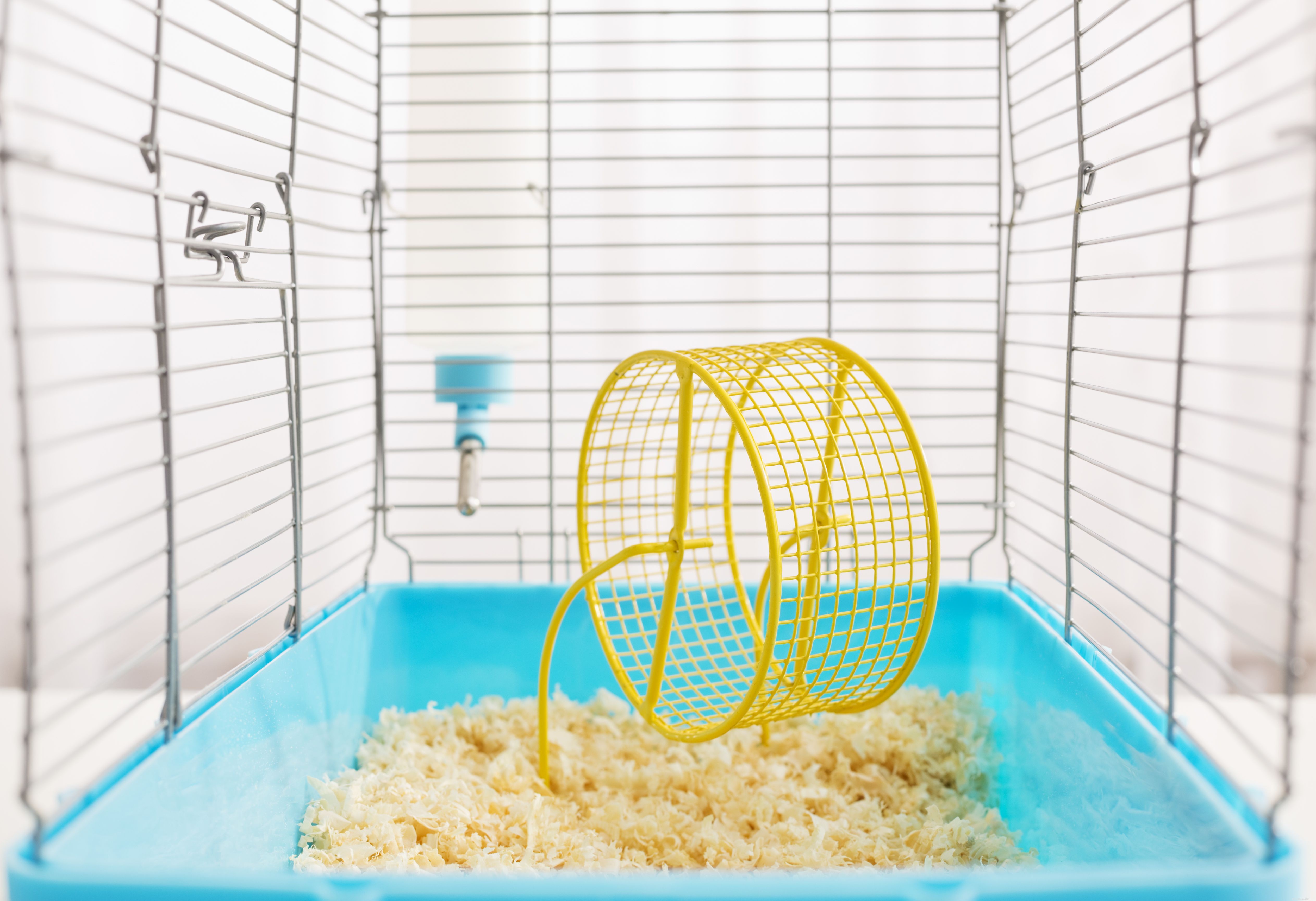 Choisir une cage pour hamster nain