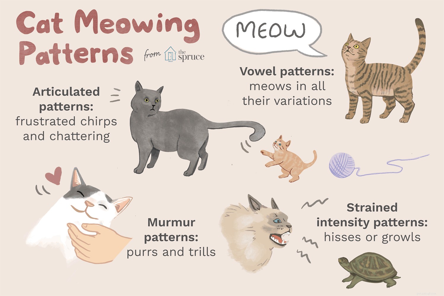 Co znamenají kočky mňoukání?