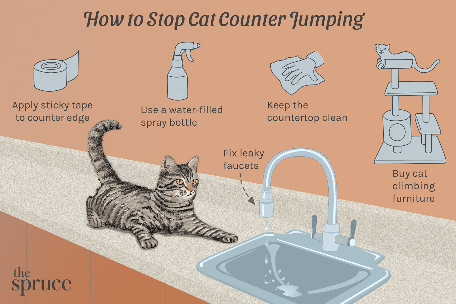 あなたの猫を台所のカウンターから遠ざける方法 