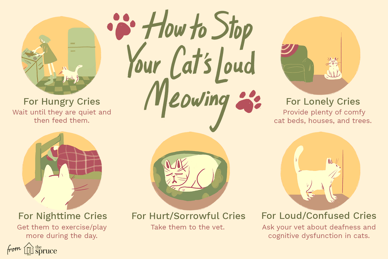 Jak zastavit hlasité mňoukání u koček