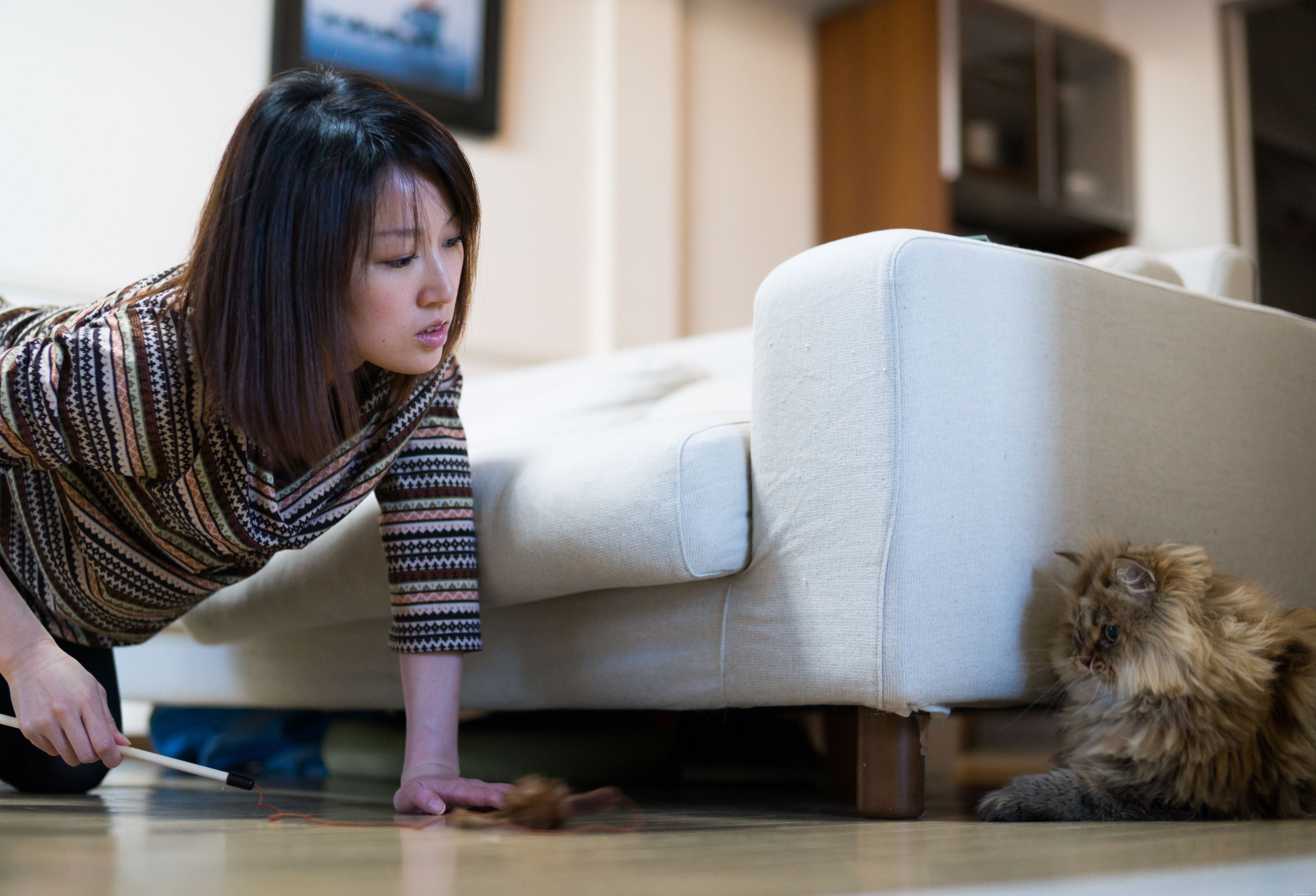 Modifiche al comportamento a cui prestare attenzione nei gatti