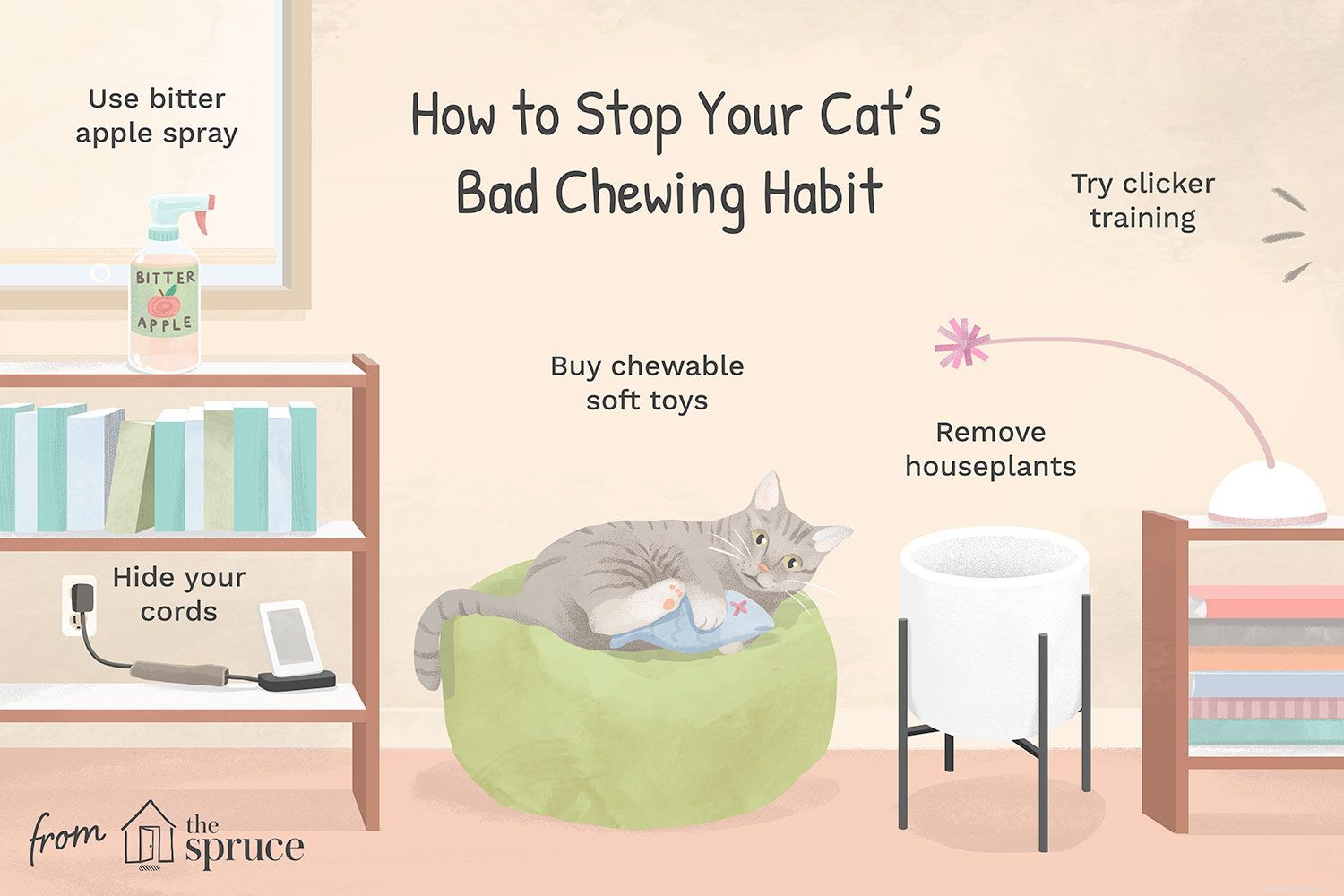 Hoe destructief kauwen bij katten te stoppen
