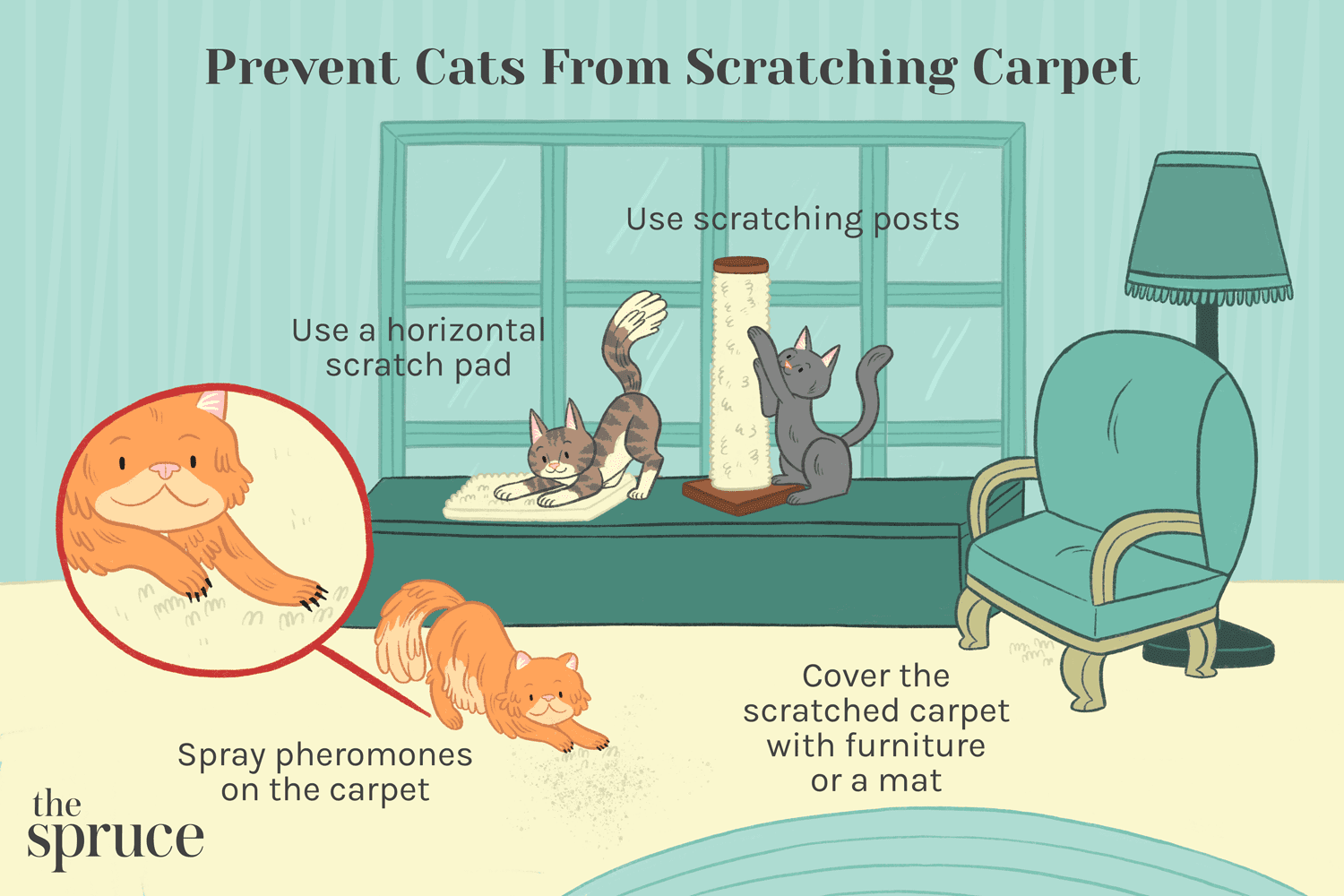 Как отучить кошку царапать ковер
