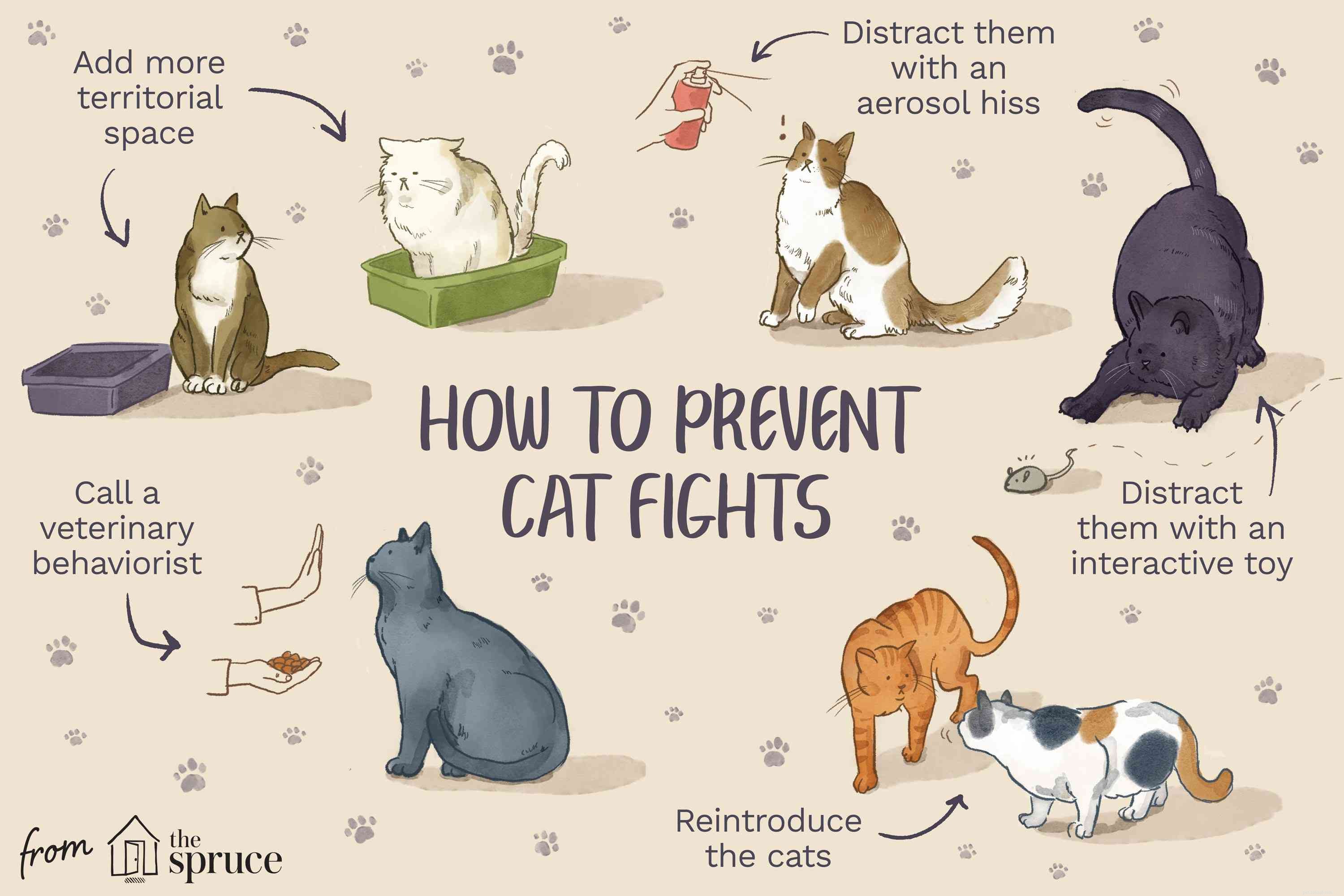 猫同士の攻撃を止める方法 