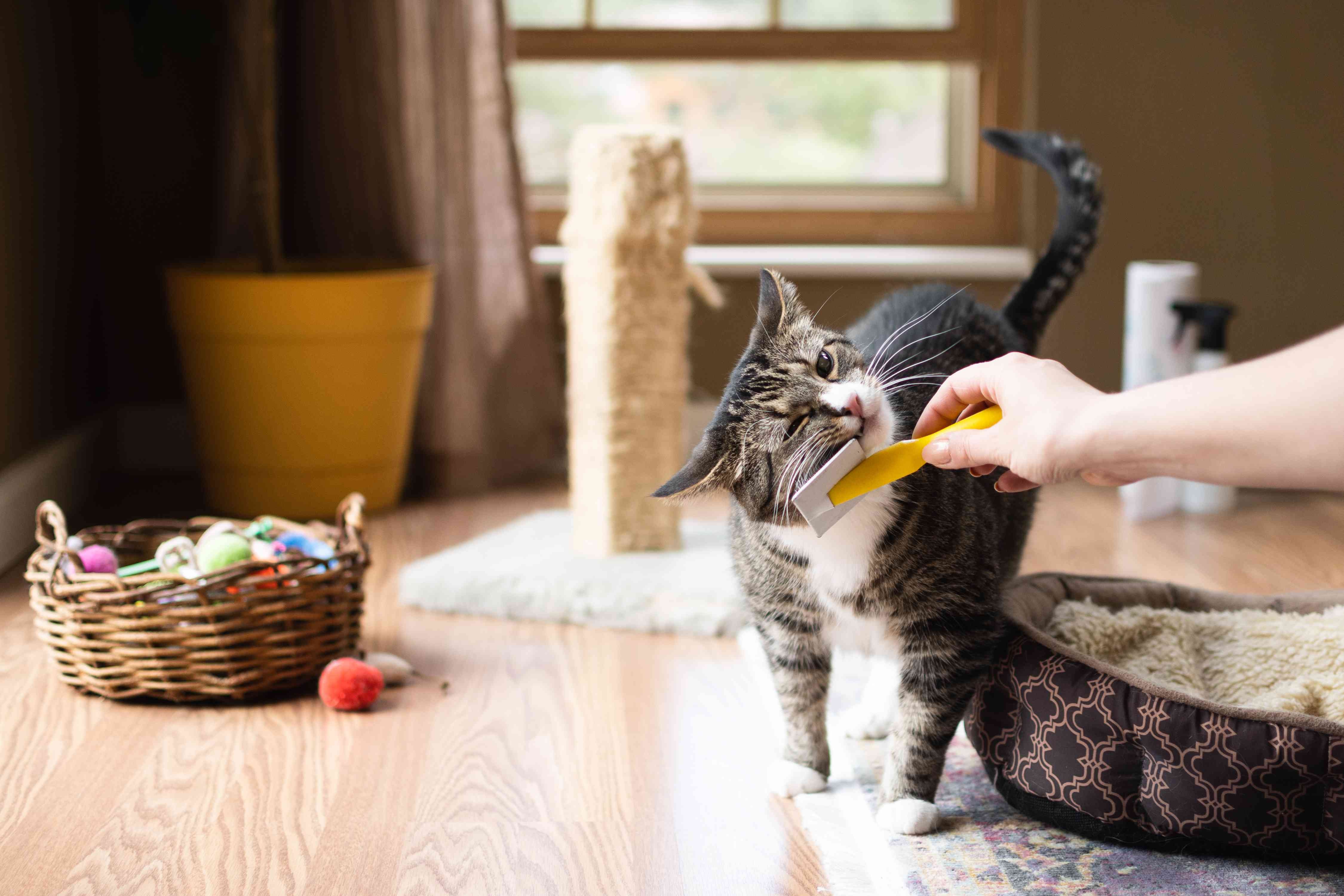 Hoe u uw huis schoon kunt houden met huisdieren binnenshuis