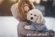 Moet ik mijn hond een winterjas aantrekken?