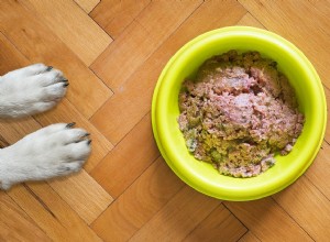 Quels sont les meilleurs matériaux à utiliser pour une gamelle pour chien ?