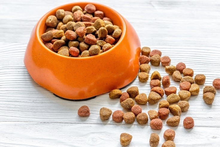 Můžou fretky jíst krmivo pro psy? Co potřebujete vědět!