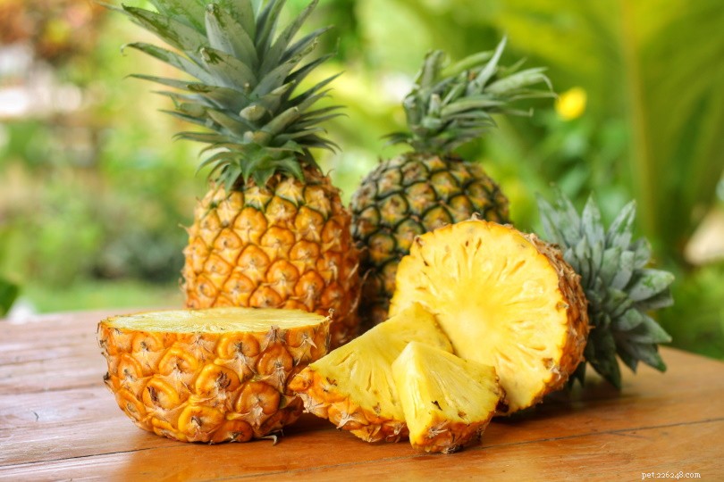 Kan igelkottar äta ananas? Vad du behöver veta!