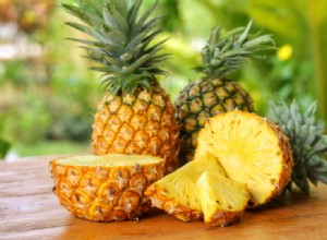 Můžou ježci jíst ananas? Co potřebujete vědět!