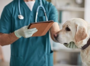 Kolik stojí návštěva veterináře v PetSmart (Banfield Pet Hospitals)?