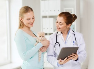 11 zajímavých britských veterinárních statistik a faktů, které je třeba znát v roce 2022