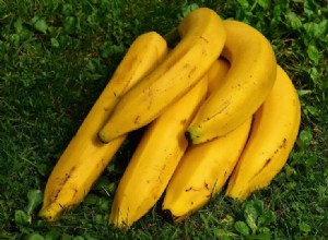 Les hérissons peuvent-ils manger des bananes ? Ce que vous devez savoir !