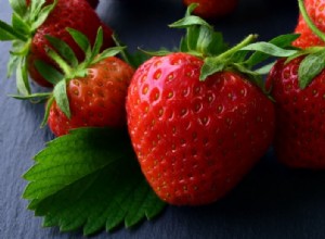 Les hérissons peuvent-ils manger des fraises ? Ce que vous devez savoir !