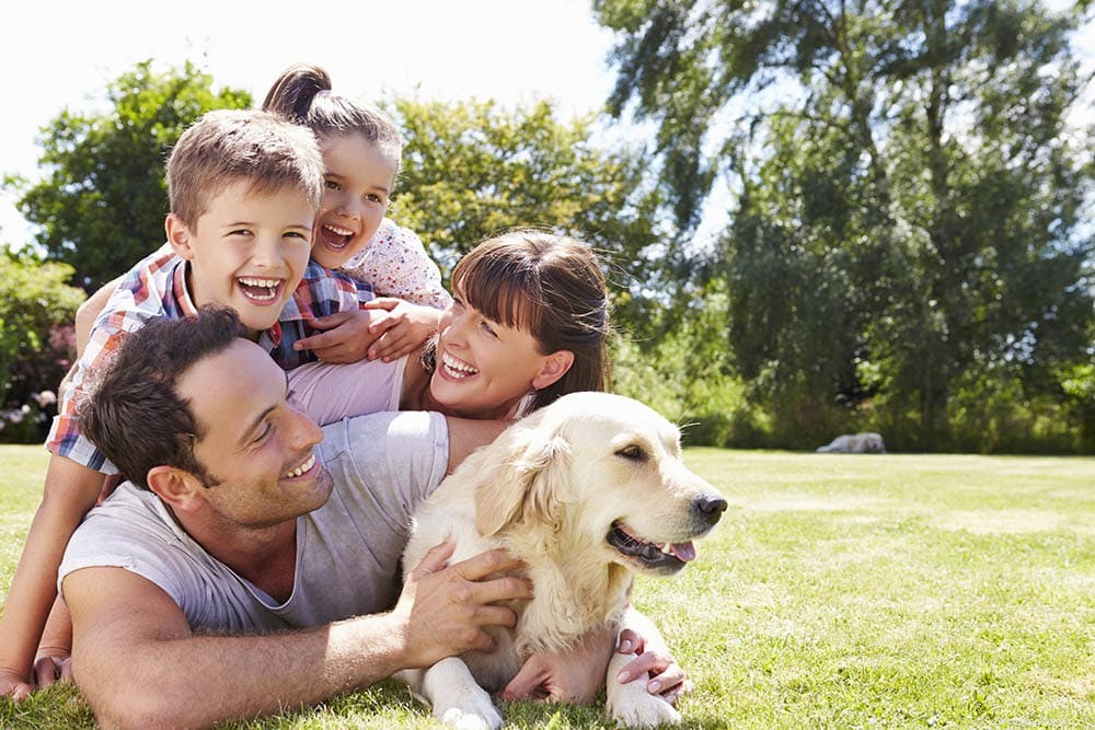 Maken huisdieren deel uit van het gezin? Wetenschap en statistiek Uitleggen