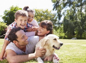 Les animaux de compagnie font-ils partie de la famille ? La science et les statistiques expliquent