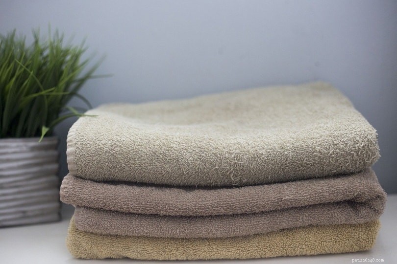 Hur man tvättar hundurin ur handdukar och tvätt