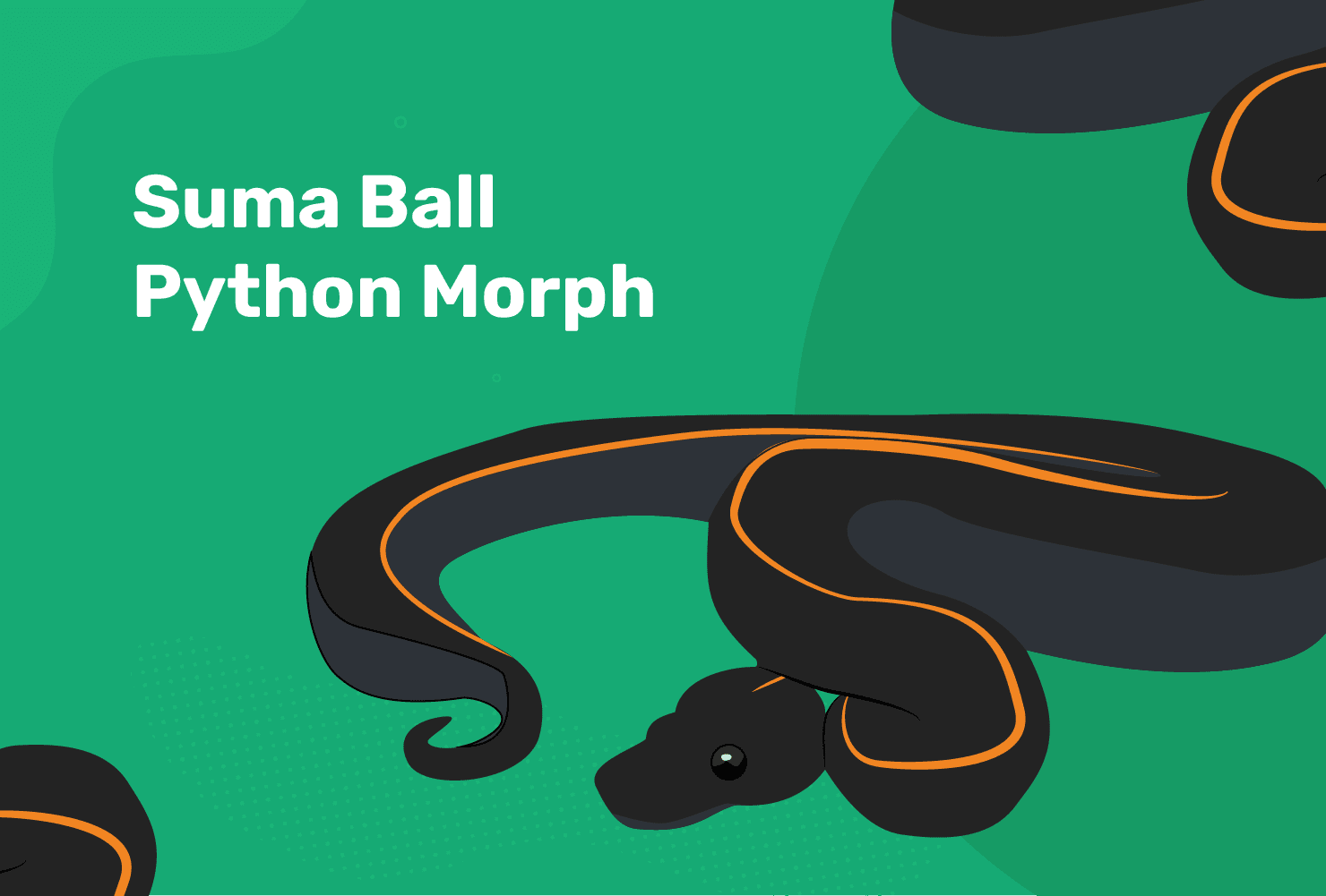 Morph de python boule de Suma