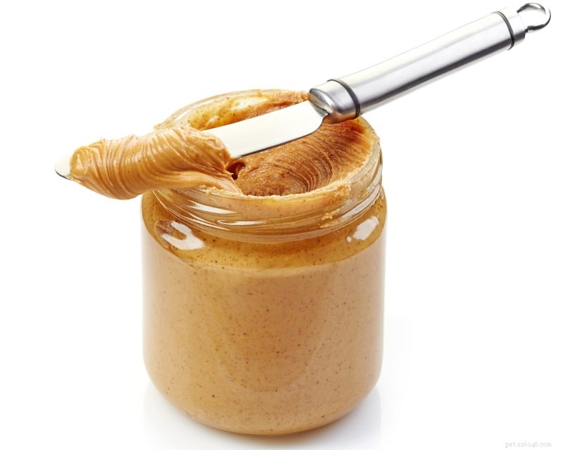 Les hérissons peuvent-ils manger du beurre de cacahuète ? Ce que vous devez savoir !