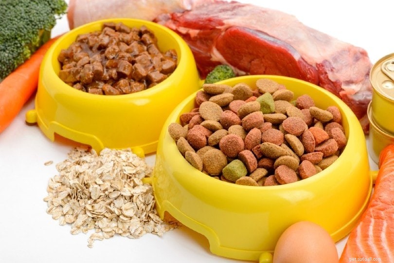 Come leggere le etichette degli alimenti per animali domestici e gli elenchi degli ingredienti:nutrizione e cosa cercare