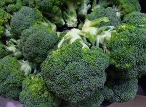 Můžou leguáni jíst brokolici? Co potřebujete vědět!
