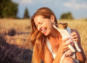 Proč vám psi olizují obličej? 6 důvodů a jak zastavit nadměrné lízání
