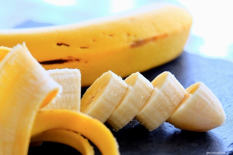 Můžou korely jíst banány? Co potřebujete vědět