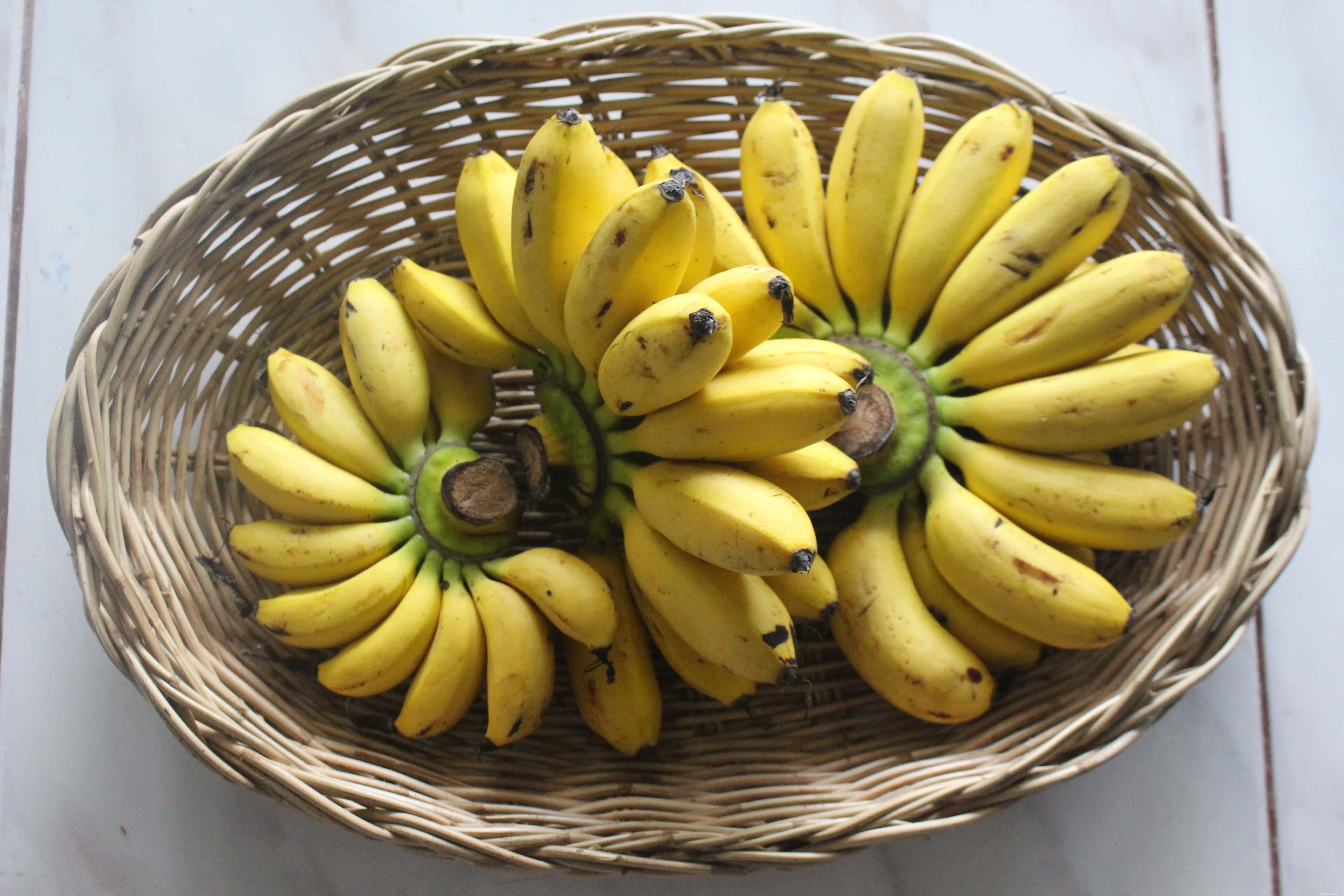 Kan undulater äta bananer? Vad du behöver veta!