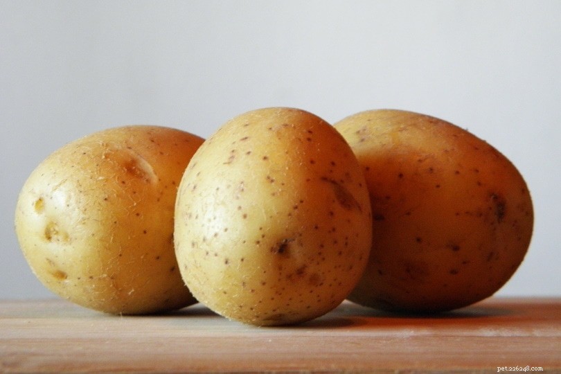 Могут ли кореллы есть картофель? Что вам нужно знать!