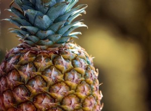 Mohou andulky jíst ananas? Co potřebujete vědět!