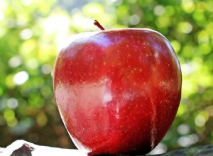 Os periquitos podem comer maçãs? O que você precisa saber!