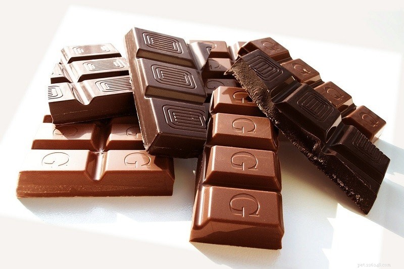 Kan kakaduor äta choklad? Vad du behöver veta!