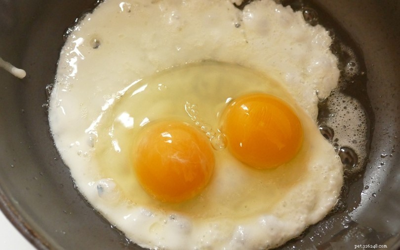 Onormala kycklingägg:22 ägg- och skalproblem förklarade