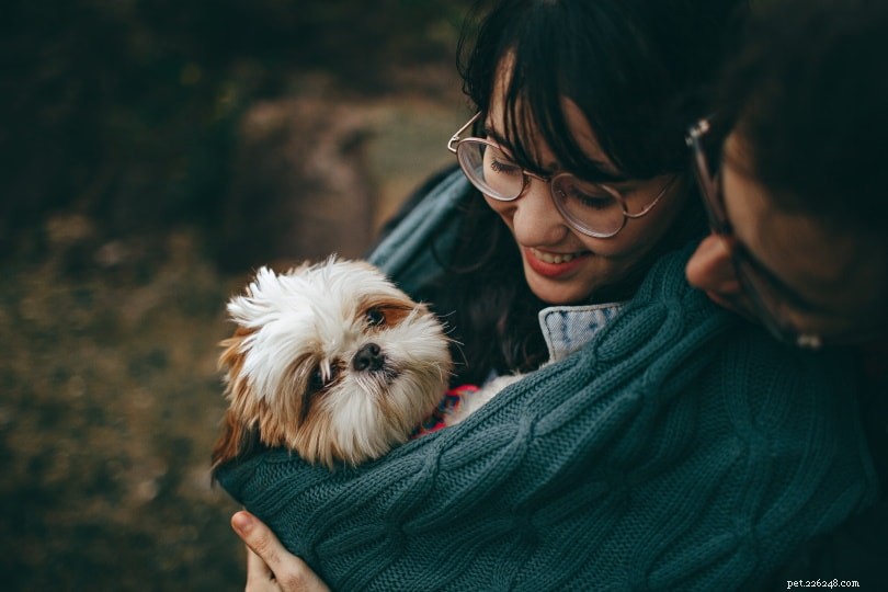 11 fördelar med att adoptera ett husdjur