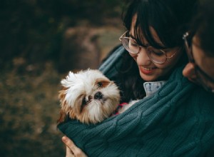 11 benefícios de adotar um animal de estimação