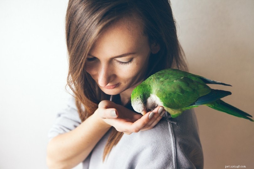 Hur du skapar ett band med din fågel (5 beprövade metoder)