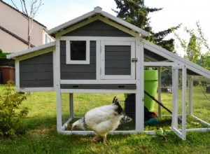 20 DIY Chicken Coop-planer du kan göra idag (med bilder)