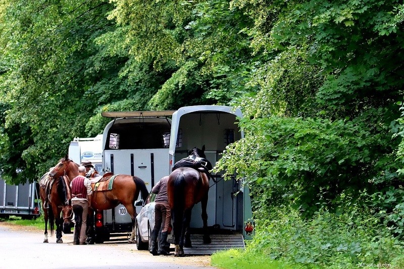 Onde você pode alugar um trailer para cavalos?