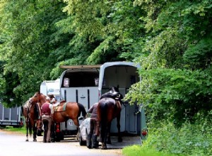 Где можно арендовать прицеп для перевозки лошадей?