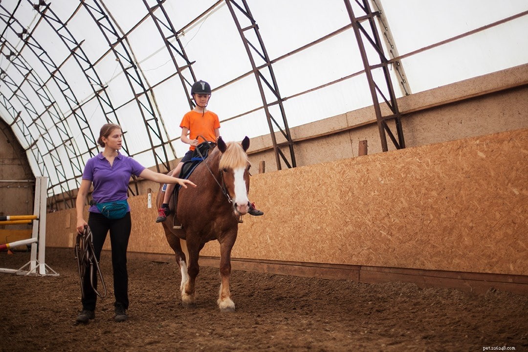 14 tipi di carriere e lavori a cavallo:una panoramica