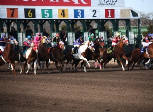 6 tipos de corridas de cavalos e classes explicadas