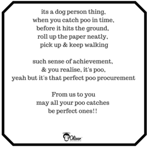 The Poo Post per genitori responsabili di animali domestici