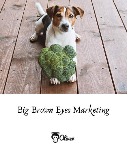 Marketing des aliments pour chiens