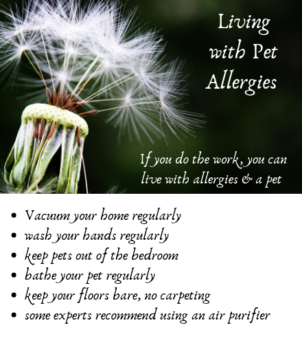 Puoi convivere con un allergia e un animale domestico
